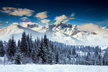 Fototapeta na wymiar Christmas background with snowy fir trees and mountains in heavy blizzard.