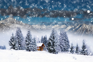 Wooden cottage in a fairy-tale winter landscape.