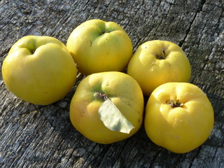 obst