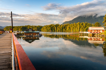 Tofino Harbour, Vancouver Island. British Columbia, Canada © ronnybas