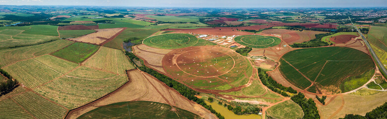 agronegócio plantação