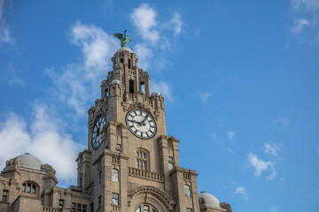 Fototapeta na wymiar View of the iconic Royal Liver Building in Liverpool, UK