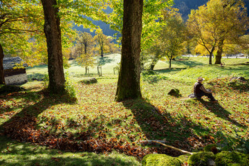 Soglio (CH) - Harvest of chestnuts