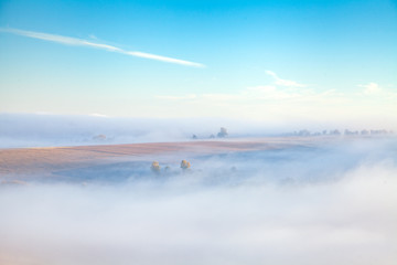 Morning fog