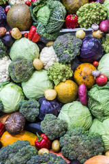 autumn harvest of different vegetables and root crops. background of vegetables.