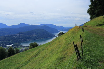 Panorama a Cademario, Svizzera, con prati e lago di Lugano