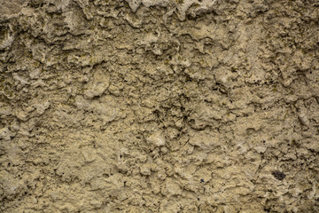 Beautiful vintage background. Abstract grunge decorative stucco wall texture. Wide rough background with copy space for text.