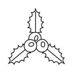 leafs with seeds decoration christmas line style vector illustration design