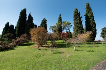 Fototapeta na wymiar garden Sigurta' italy 
