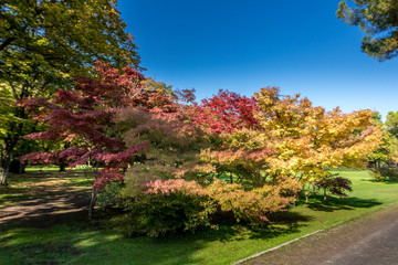 garden Sigurta' italy 