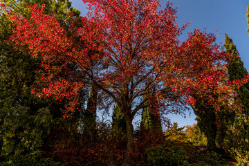 garden Sigurta' italy 