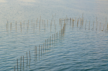 滋賀　琵琶湖のエリ漁