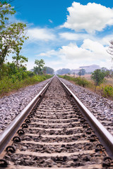 The train tracks on both sides were trees. With sky and white clouds.