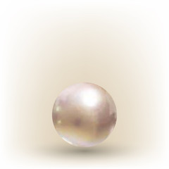 Shiny realistic pearl on transparent background, vector illustration. eps 10