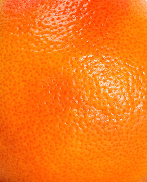 grapefruit citrus orange