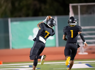 Great action photos of football players making amazing plays during a football game