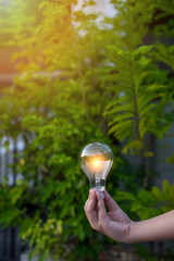 Light bulb Energy saving green nature background