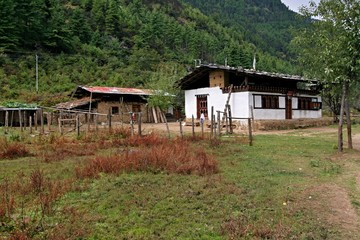 Fototapeta na wymiar Dwelling in the valley of the Paro River. Bhutan. Asia