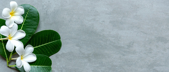 Thai Spa. Top view of white Plumeria flower setting for massage treatment and relax on black...
