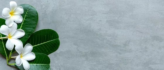 Fototapeten Thai-Spa. Draufsicht auf die weiße Plumeria-Blumenkulisse für Massagebehandlungen und Entspannung auf schwarzer Tafel für Textbanner und Kopierraum. Lebensstil gesundes Konzept © freebird7977