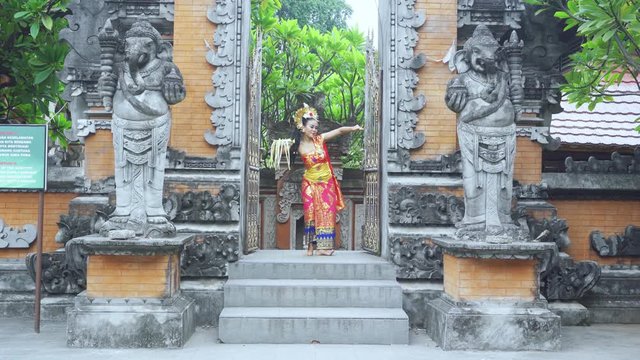Attractive balinese dancer dancing in traditional balinese gate while holding frangipani flower and wearing traditional costume. Shot in 4k resolution