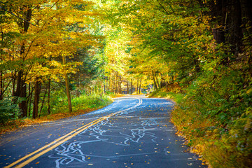 Driving down tree-lined roads in Massachusetts in the fall