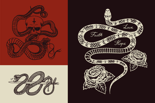 Royal python with a skull, a milk snake with roses, a reptile with a sword. Poisonous Viper template for poster or tattoo. Engraved hand drawn old Vintage sketch for t-shirt or logo. 