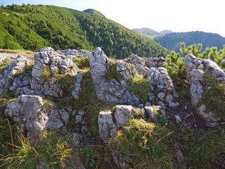 rocks in the mountains Tatra forest