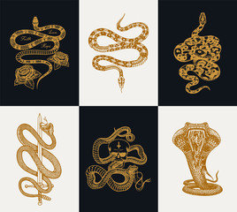 Milk snake with roses, skeleton royal python with skull, reptile with sword, Venomous Cobra. Poisonous Viper template for poster or tattoo. Engraved hand drawn old Vintage sketch for t-shirt or logo. 