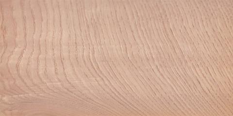  Fragment of an old tree with a knot ,invoice of wood. preparation for design,texture of a board,wood veneer