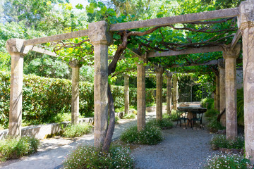 Mallorca.  Estate Of La Granja. Green alley in the park of the estate