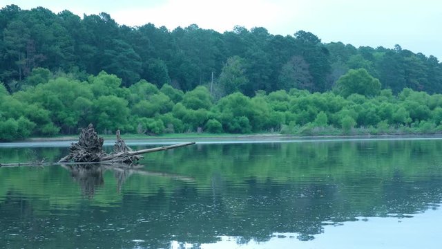 View of the canoe access of Robeson Creek, a stream that feeds into the Jordan Lake Reservoir in The Triangle region of North Carolina near Raleigh.