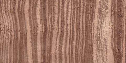  Fragment of an old tree with a knot ,invoice of wood. preparation for design,texture of a board,wood veneer