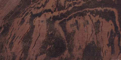  Fragment of an old tree with a knot ,invoice of wood. preparation for design,texture of a board,wood veneer