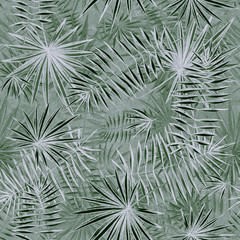 Seamless pattern with leaves. Exotic summer background. Tropical leaf design featuring teal green palm and monstera plant.