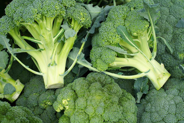 broccoli in grocery store produce department with 4k resolution