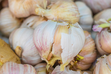 small market. sales of garlic. close-up, and shallow depth of field