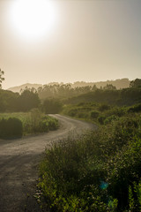 Road in a sunny afternoon in the field