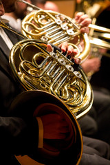 Trompa, instrumento de sopro, metais, [french horn]