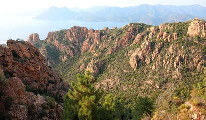Fototapeta na wymiar landscape of mountain of Corsica Island