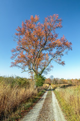 Muscatatuck Two Track