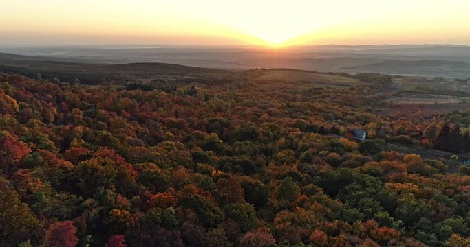 Autumn forest drone aerial shot at sunset. Overhead view of foliage trees in Hungary. Inspiring autumn season landscape panorama.