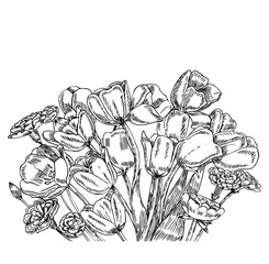 Bouquet of tulips in line art style.