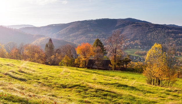 Colorful autumn carpatian mountains landscape