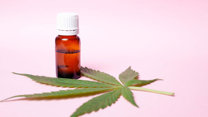 marijuana CBD  extract oil  .medical cannabis concept.green leaf and medicinal small bottle