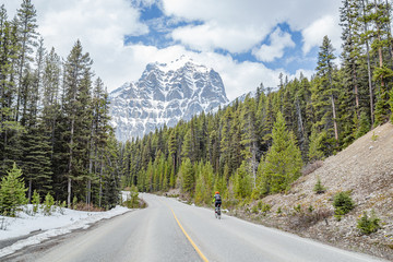 Cyclist on Bow Valley Parkway in Banff, Canada