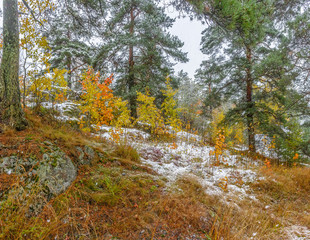 The first snow in Karelia in 2019.