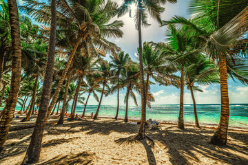 Bois Jolan beach in Guadeloupe