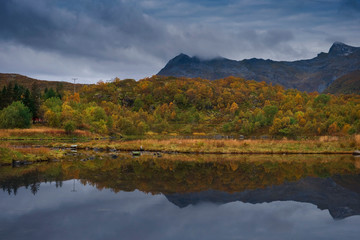 Fototapeta na wymiar morning autumn forest above the lake at the foot of the mountains. Norway Lofoten