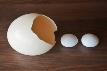 Egg as a symbol of life